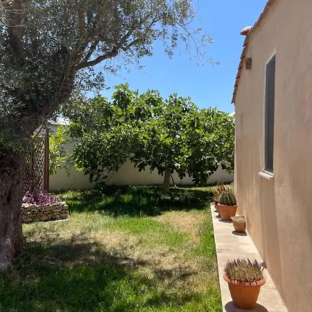 Bed & Breakfast La Petrusa Vernole