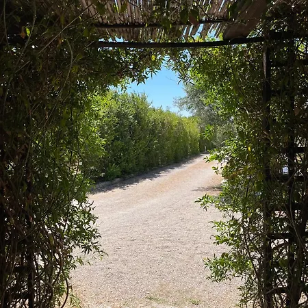 La Petrusa Panzió 3*