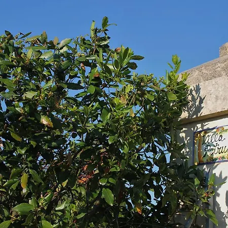 La Petrusa Vernole