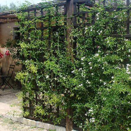 La Petrusa