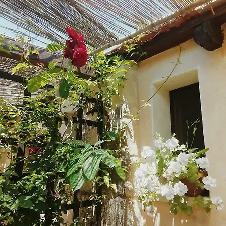فندق مبيت وإفطار La Petrusa