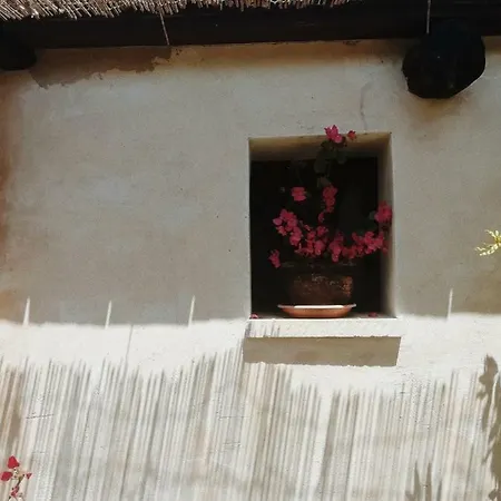 La Petrusa Vernole